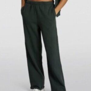 SKIMS SOLD OUT COLOR Cotton Fleece Classic Sweatpant Spruce